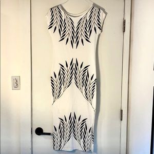 Stunning Raven + Lily Graphic Dress